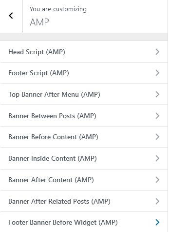 AMP Ads Settings in the Customizer